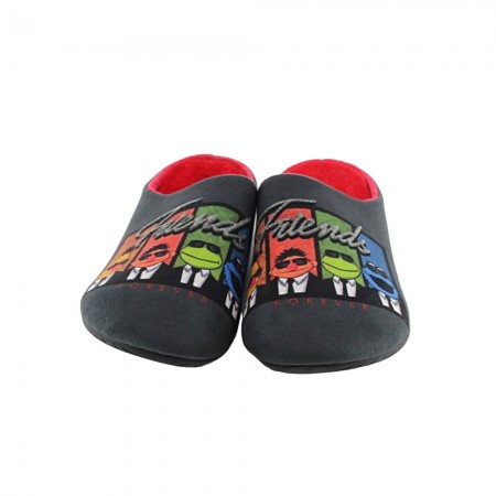 Zapatillas de casa Garzón Friends Gris